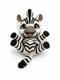 Baby Zebra